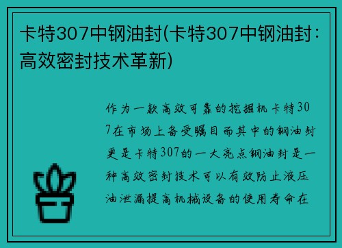 卡特307中钢油封(卡特307中钢油封：高效密封技术革新)