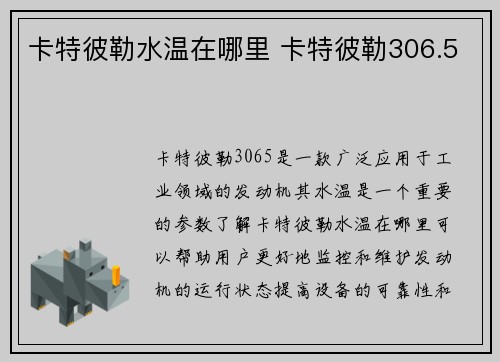 卡特彼勒水温在哪里 卡特彼勒306.5