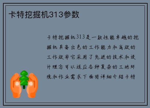 卡特挖掘机313参数